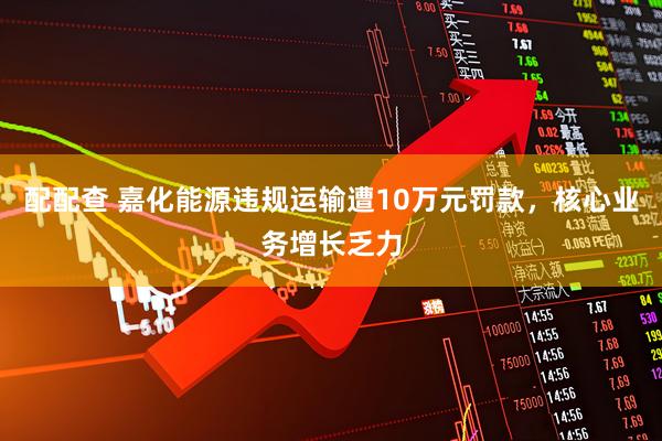 配配查 嘉化能源违规运输遭10万元罚款，核心业务增长乏力