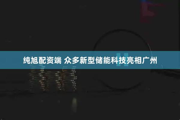 纯旭配资端 众多新型储能科技亮相广州