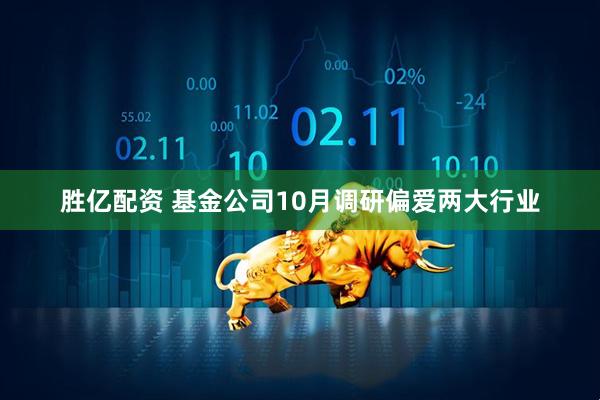 胜亿配资 基金公司10月调研偏爱两大行业