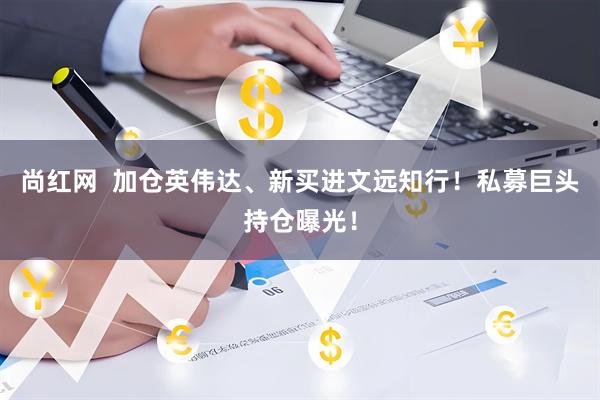 尚红网 加仓英伟达、新买进文远知行!私募巨头持仓曝光!