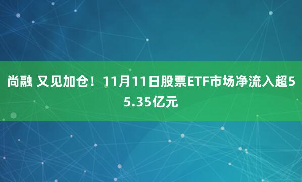 尚融 又见加仓!11月11日股票ETF市场净流入超55.35亿元